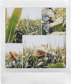 SQUARE Film